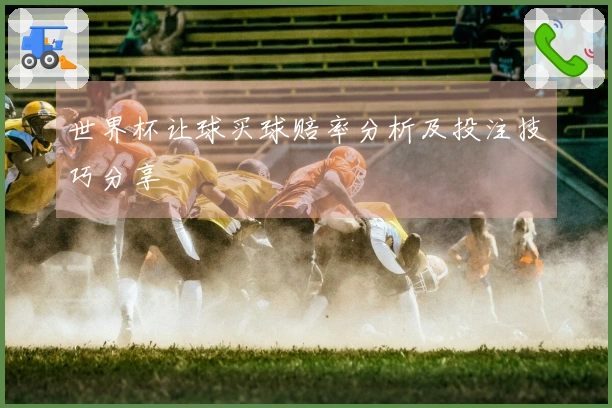 世界杯让球买球赔率分析及投注技巧分享