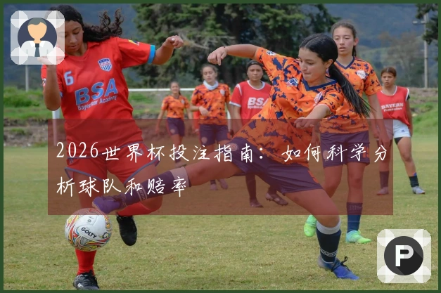 2026世界杯投注指南：如何科学分析球队和赔率