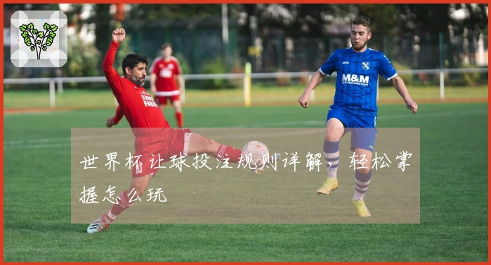 世界杯让球投注规则详解，轻松掌握怎么玩