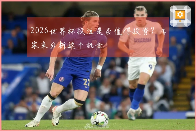2026世界杯投注是否值得投资？专家来分析这个机会