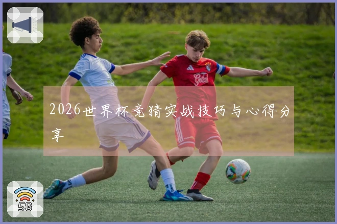 2026世界杯竞猜实战技巧与心得分享