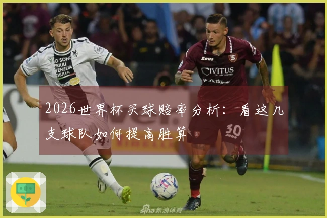 2026世界杯买球赔率分析：看这几支球队如何提高胜算